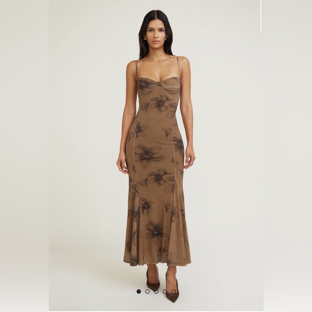 Dynamite Monet Mesh Maxi Dress